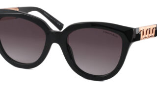 TF4215-F ティファニー サングラス｜ブランドメガネ専門店 エレガンス東京