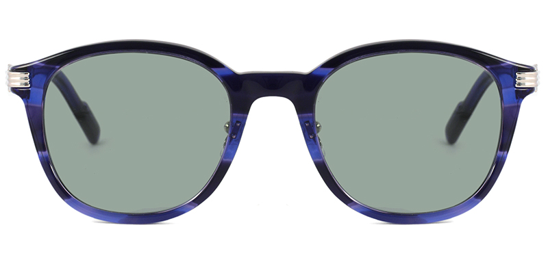 Cartier CT0302S col.013