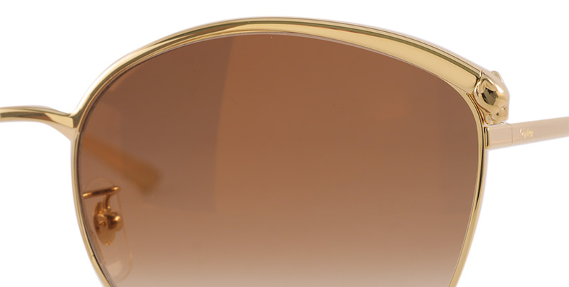 Cartier CT0597SA col.002