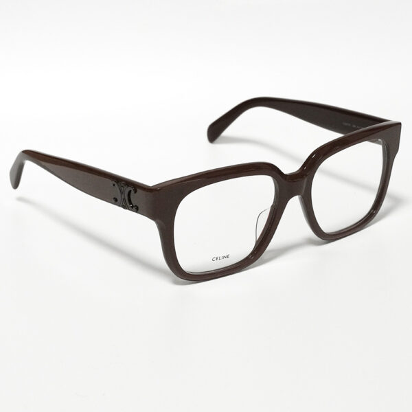 CELINE CL50172I col.048